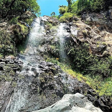 Cabaña para pareja en el bosque IB Acaxochitlán Exterior foto