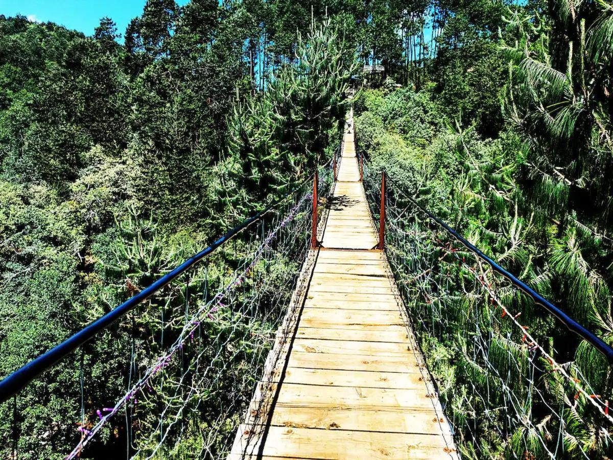 Cabaña para pareja en el bosque IB Acaxochitlán Exterior foto