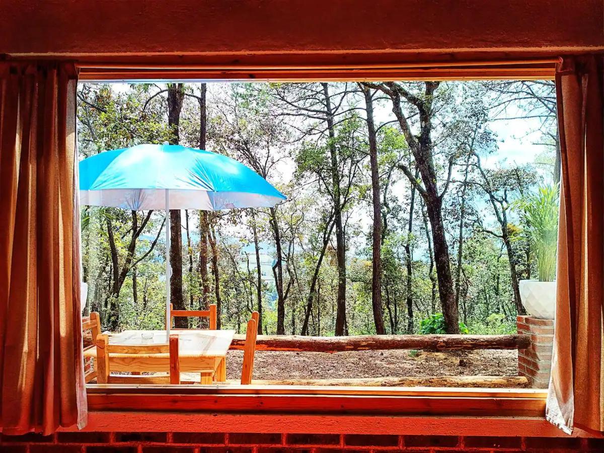 Cabaña para pareja en el bosque IB Acaxochitlán Exterior foto
